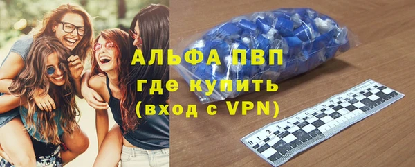 стаф Белокуриха