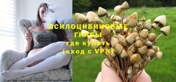 гашик Белоозёрский