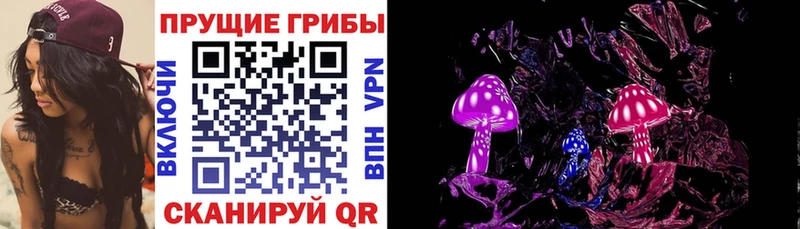 Псилоцибиновые грибы GOLDEN TEACHER  Купить где  Морозовск 